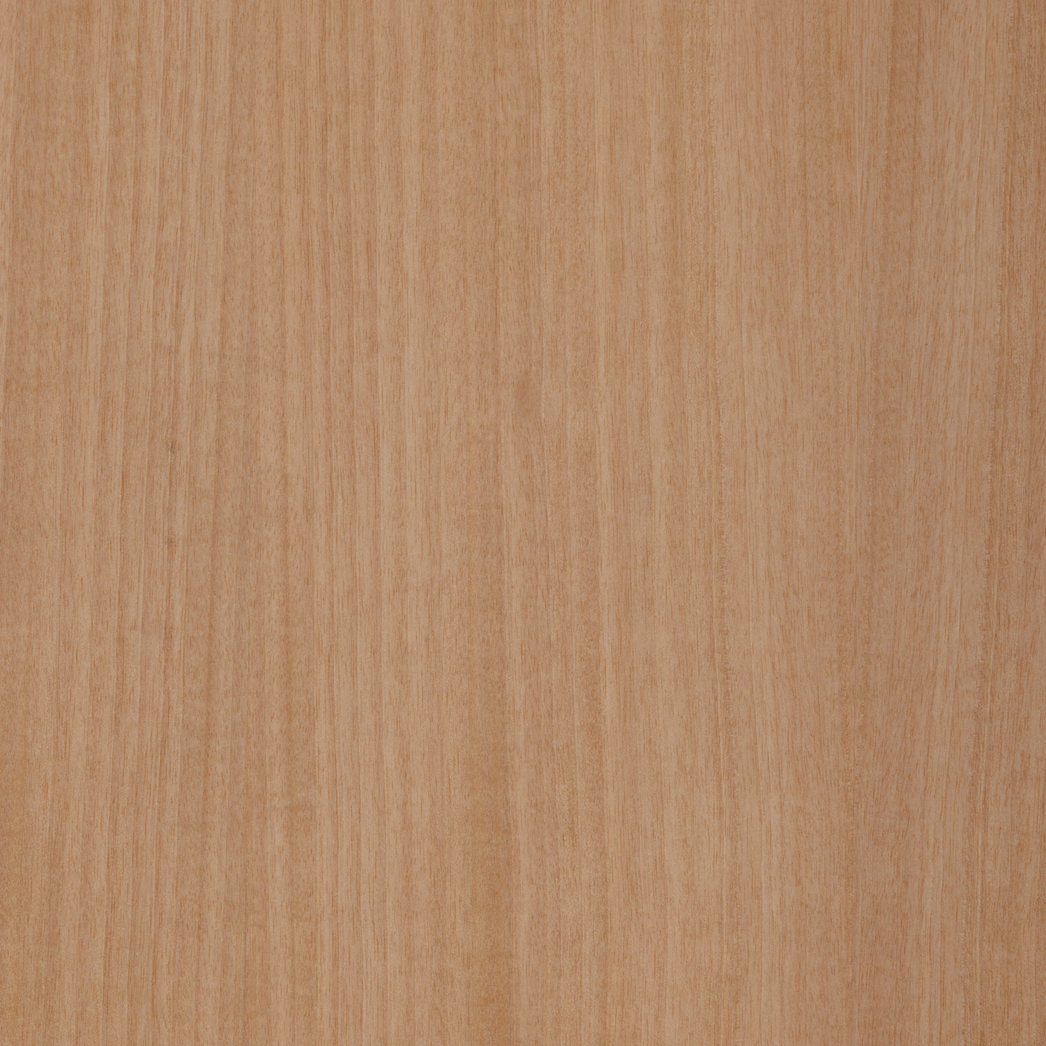 anigre natural wood veneer panel