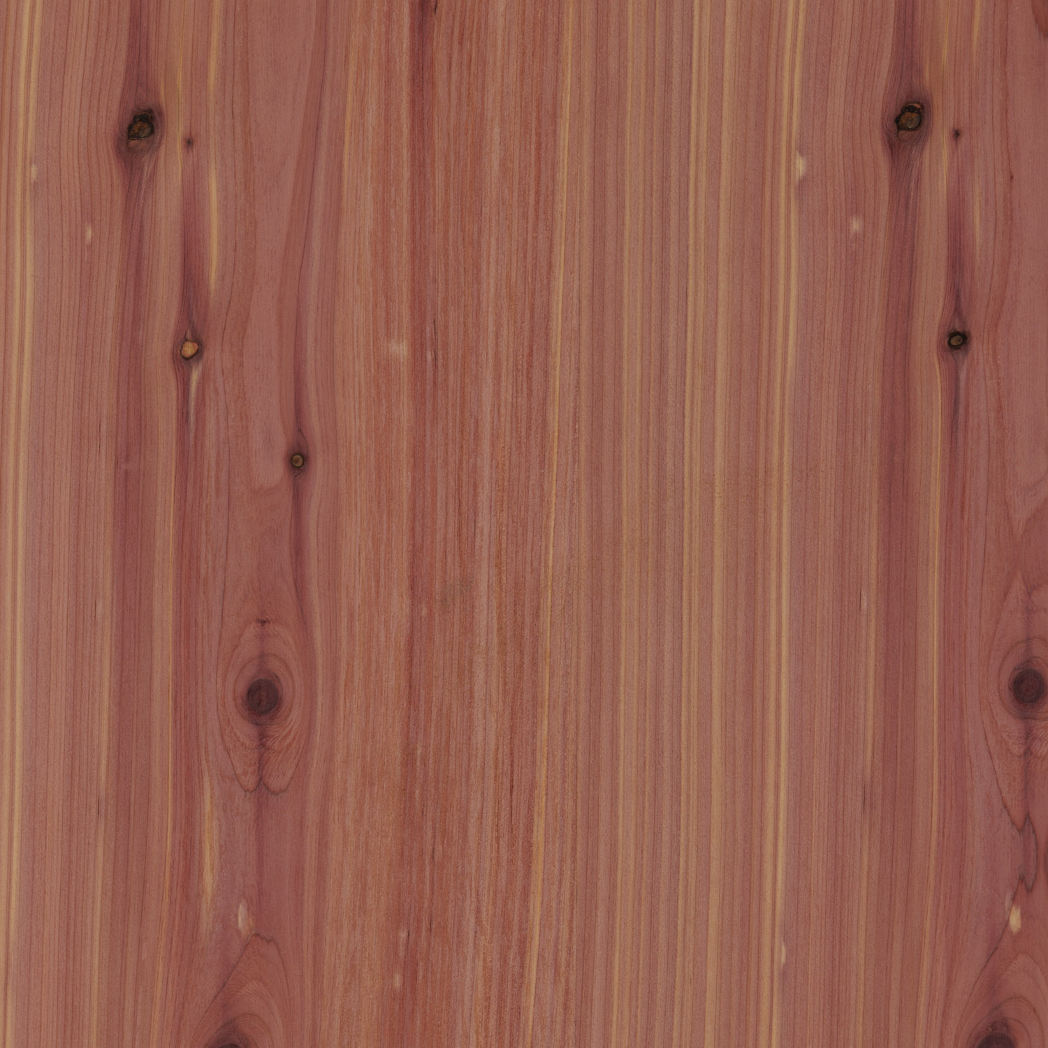 aromatic cedar natural wood veneer panel