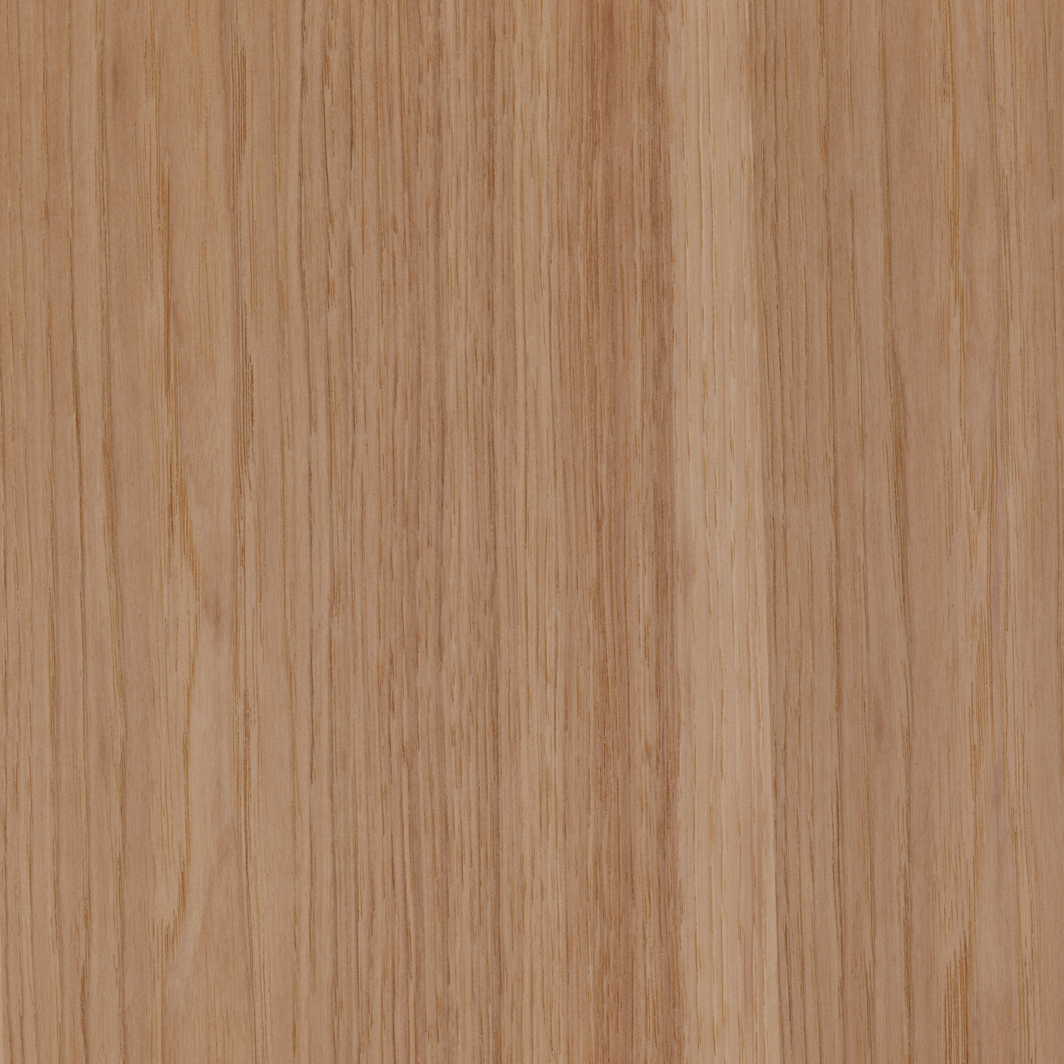 hickory calico natural wood veneer