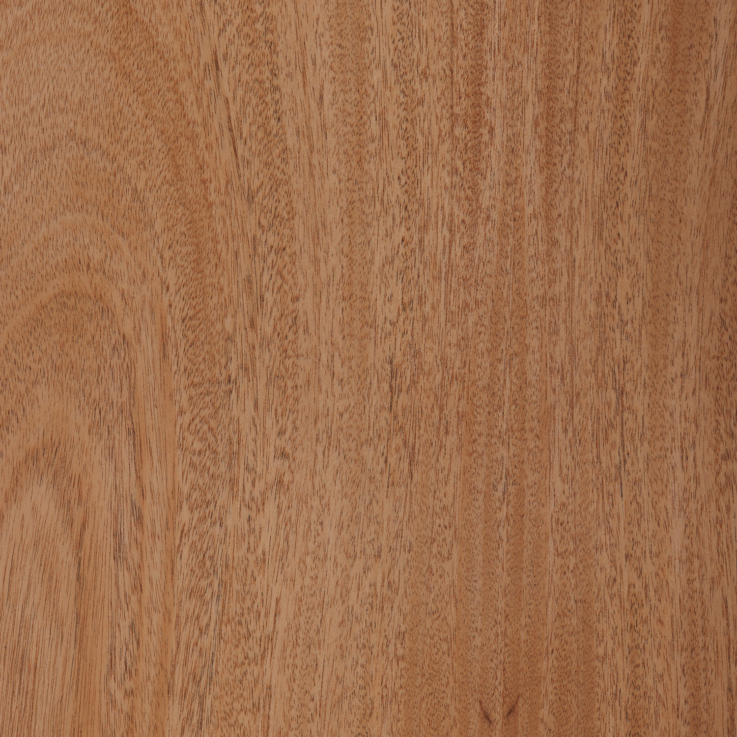 khaya natural wood veneer panel