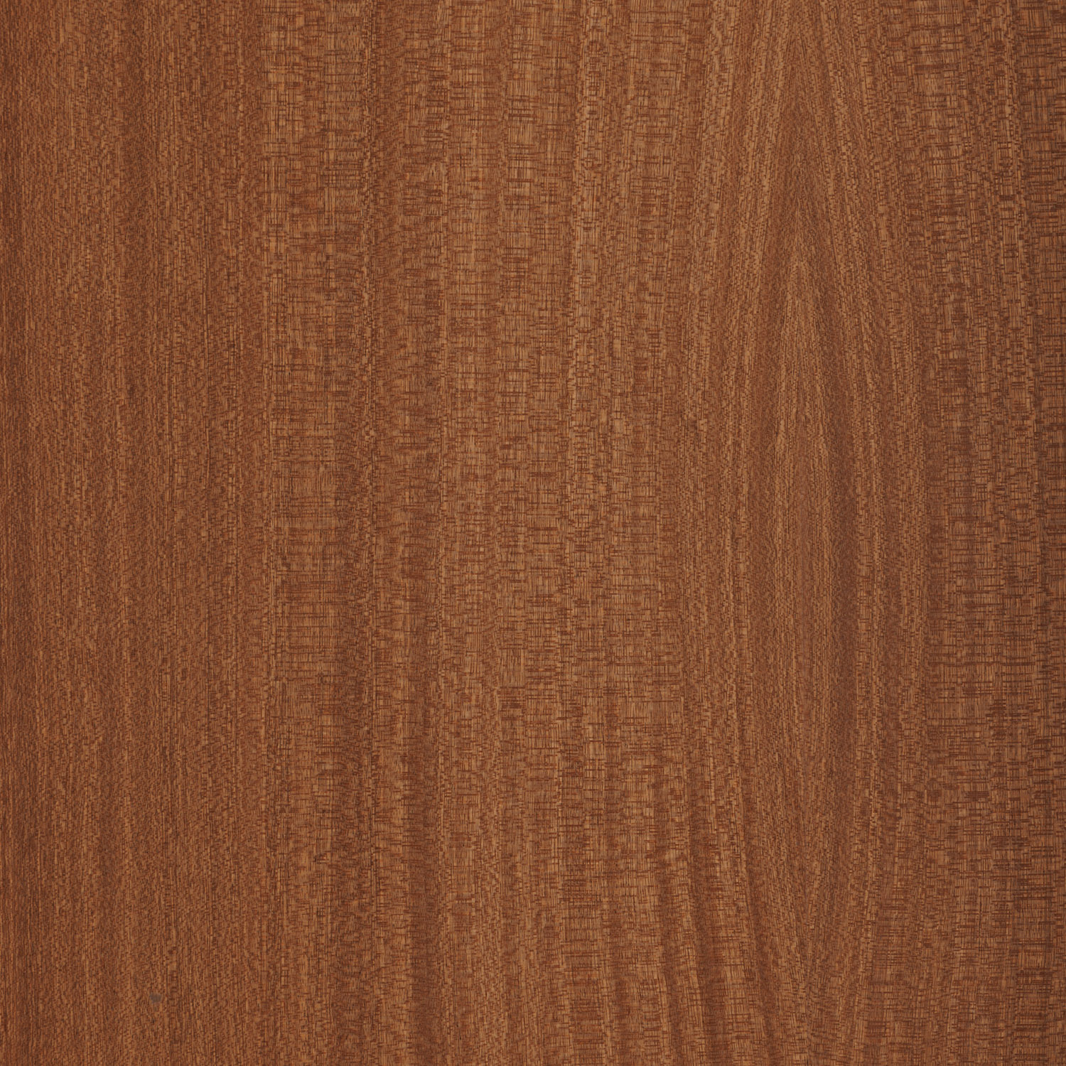 teak natural wood veneer panel