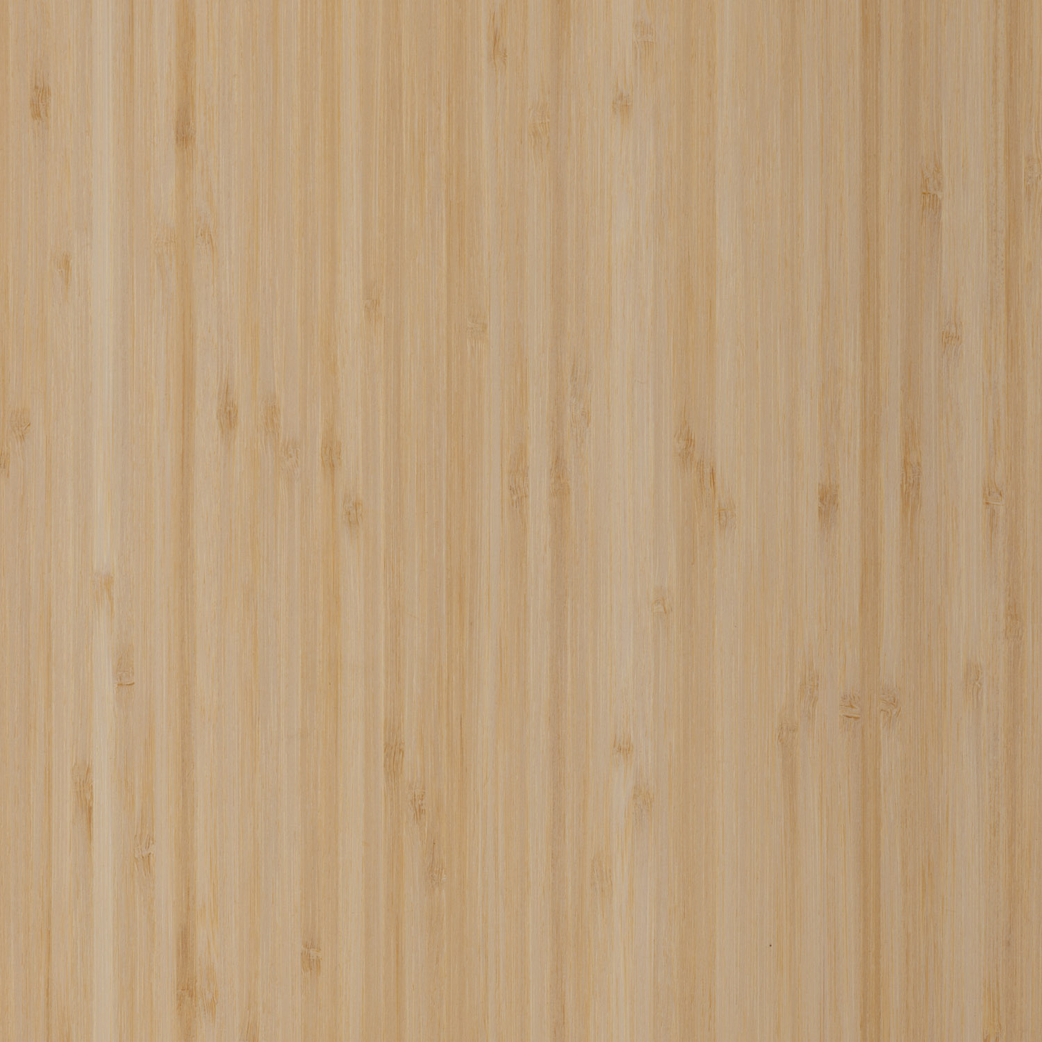 natural bamboo natural wood veneer panel