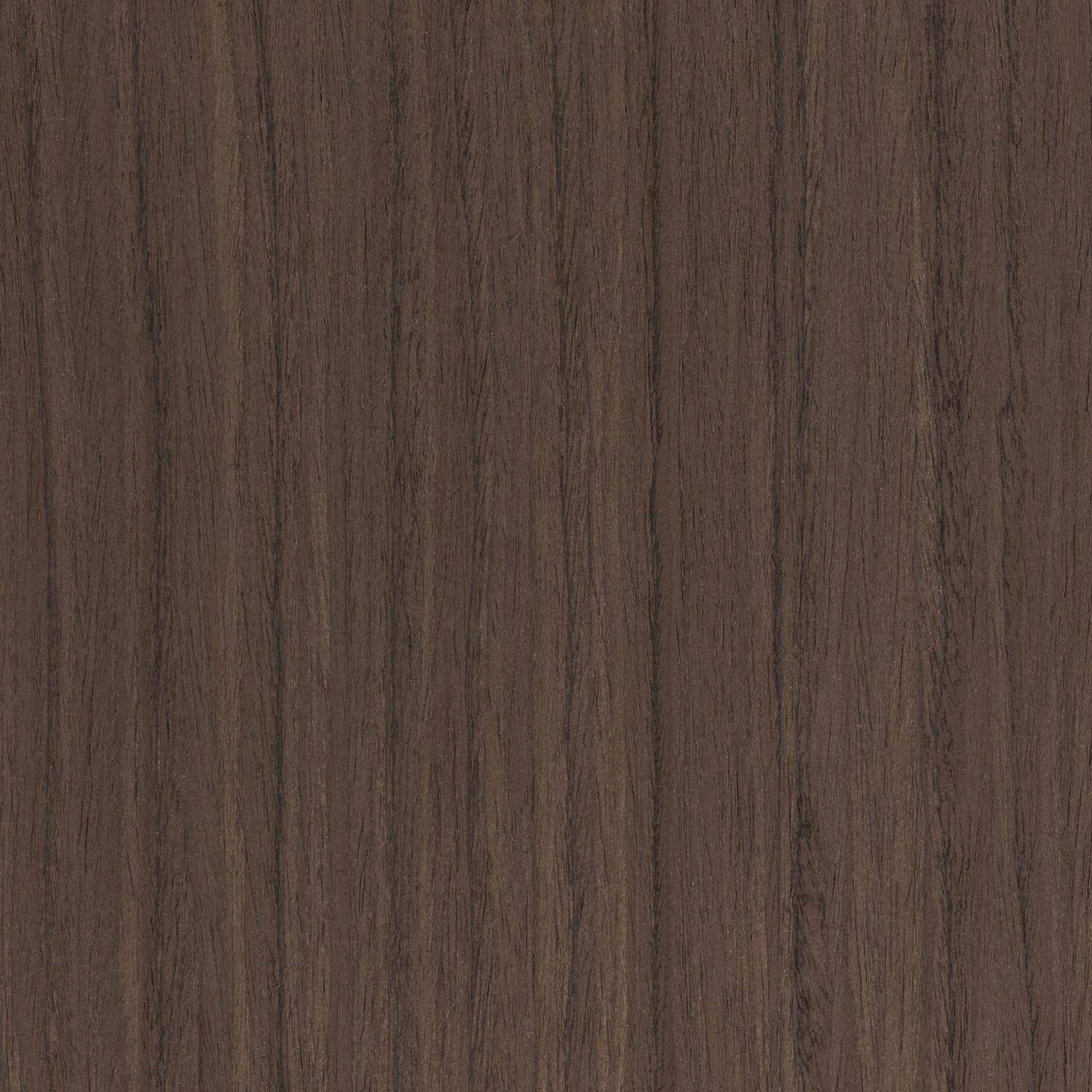 Qtr Black Walnut