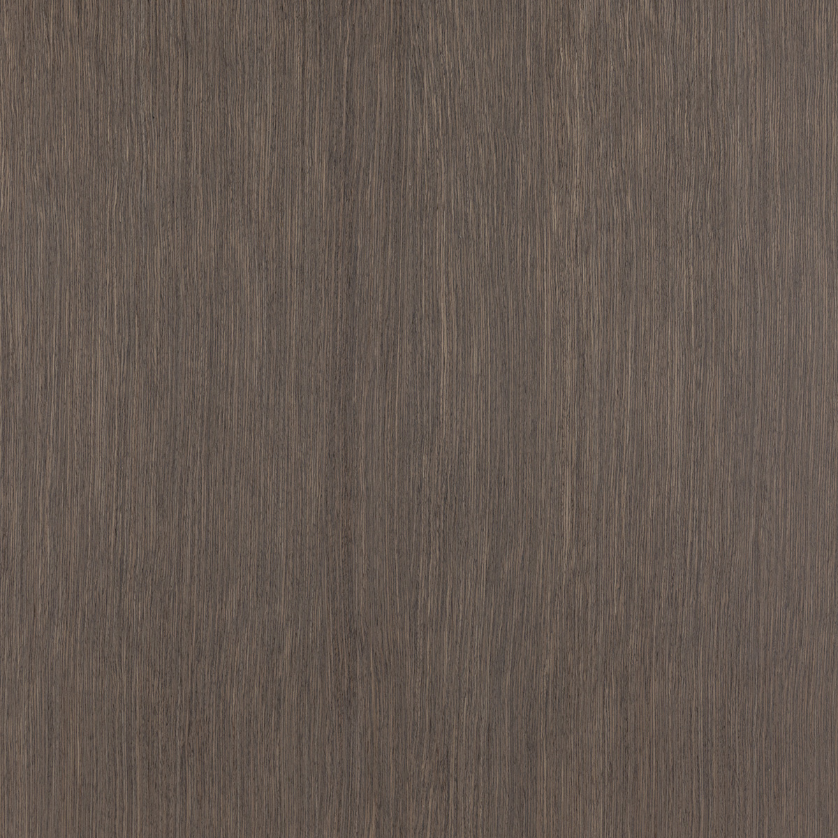 Charcoal Ash