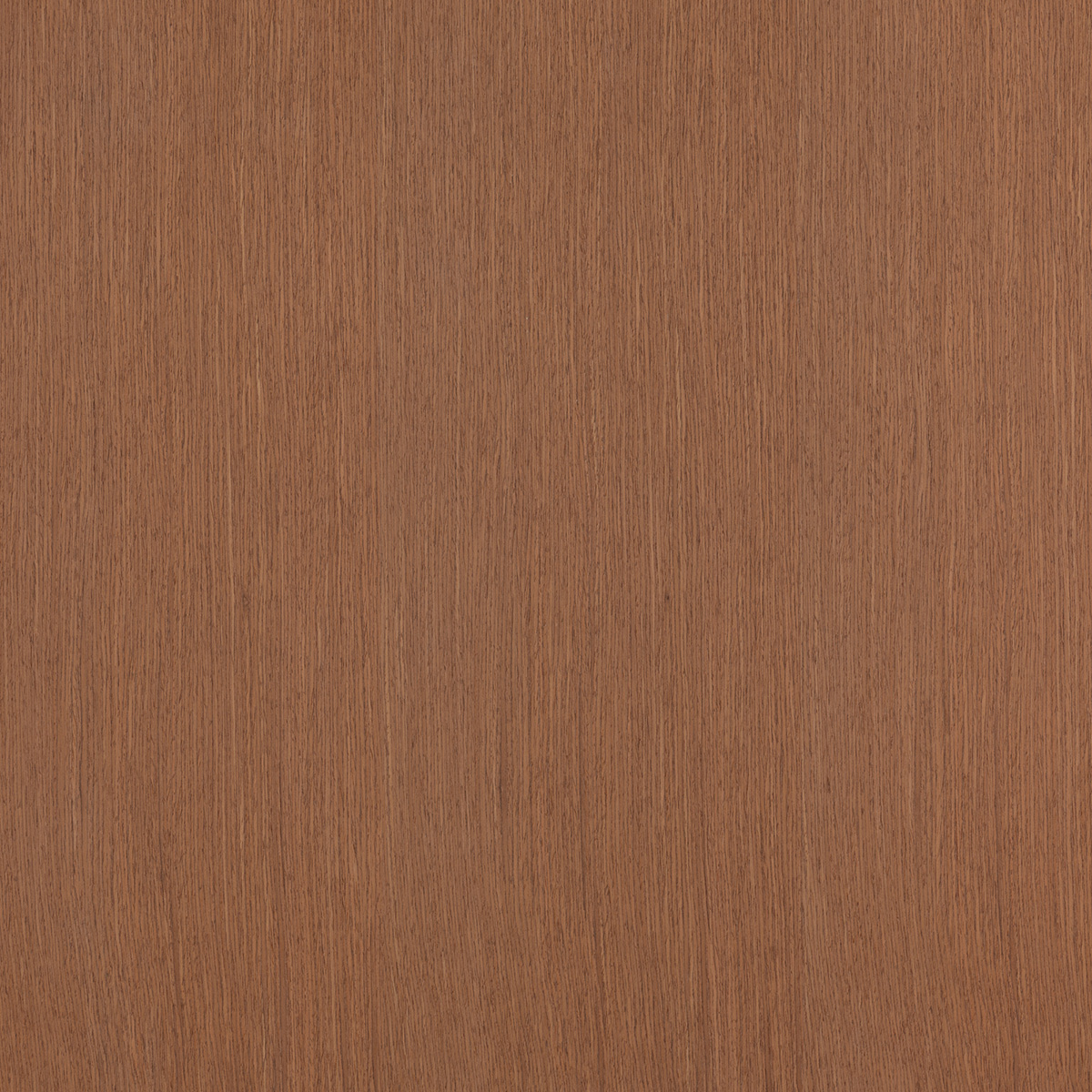 Dark Cherry