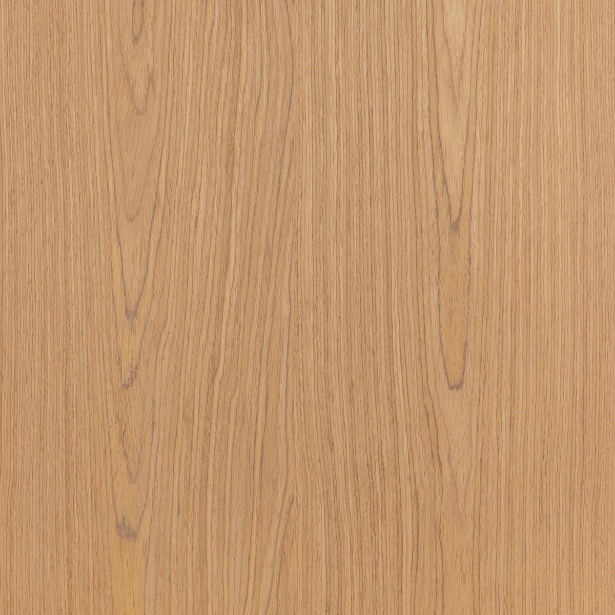 FC Teak