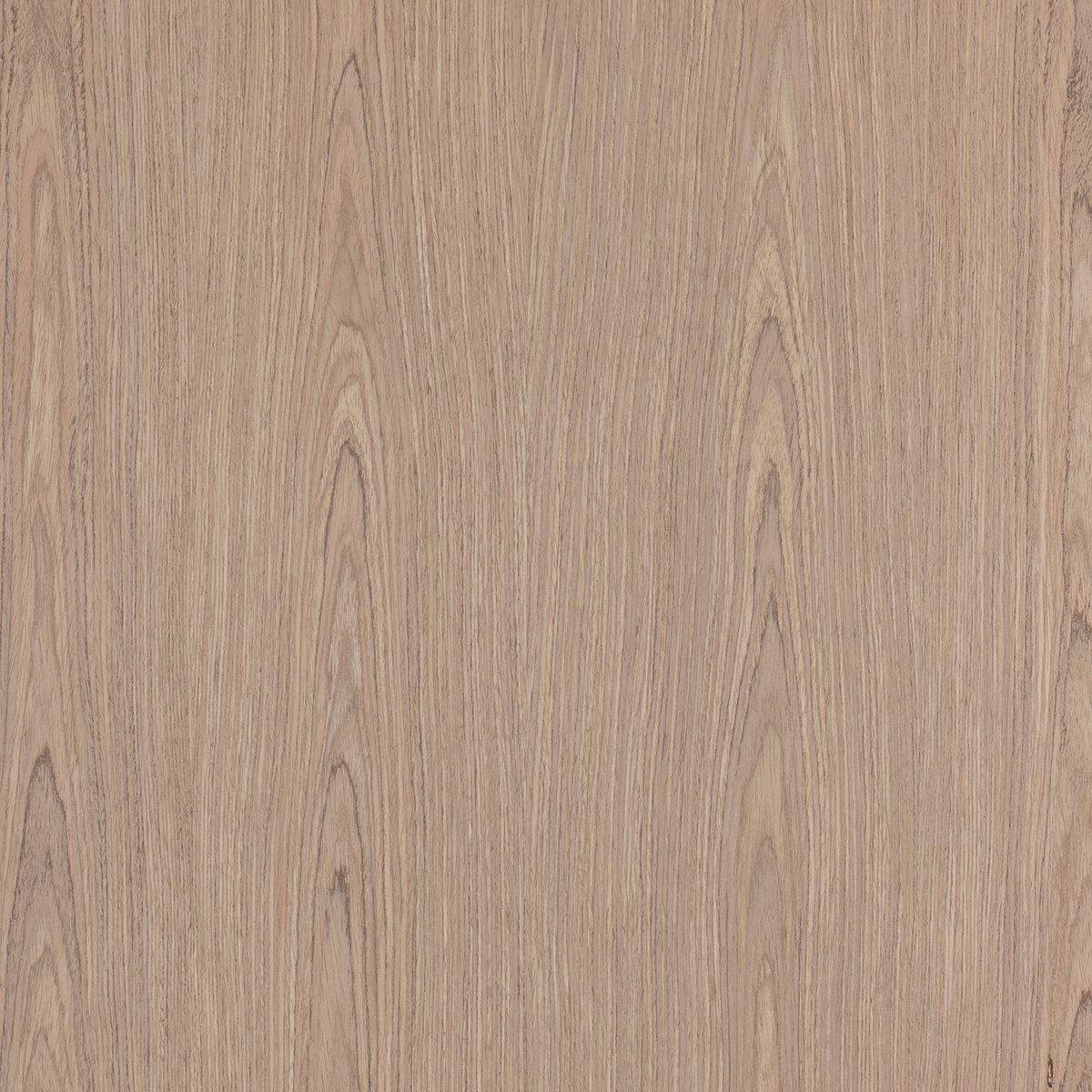 FC Walnut