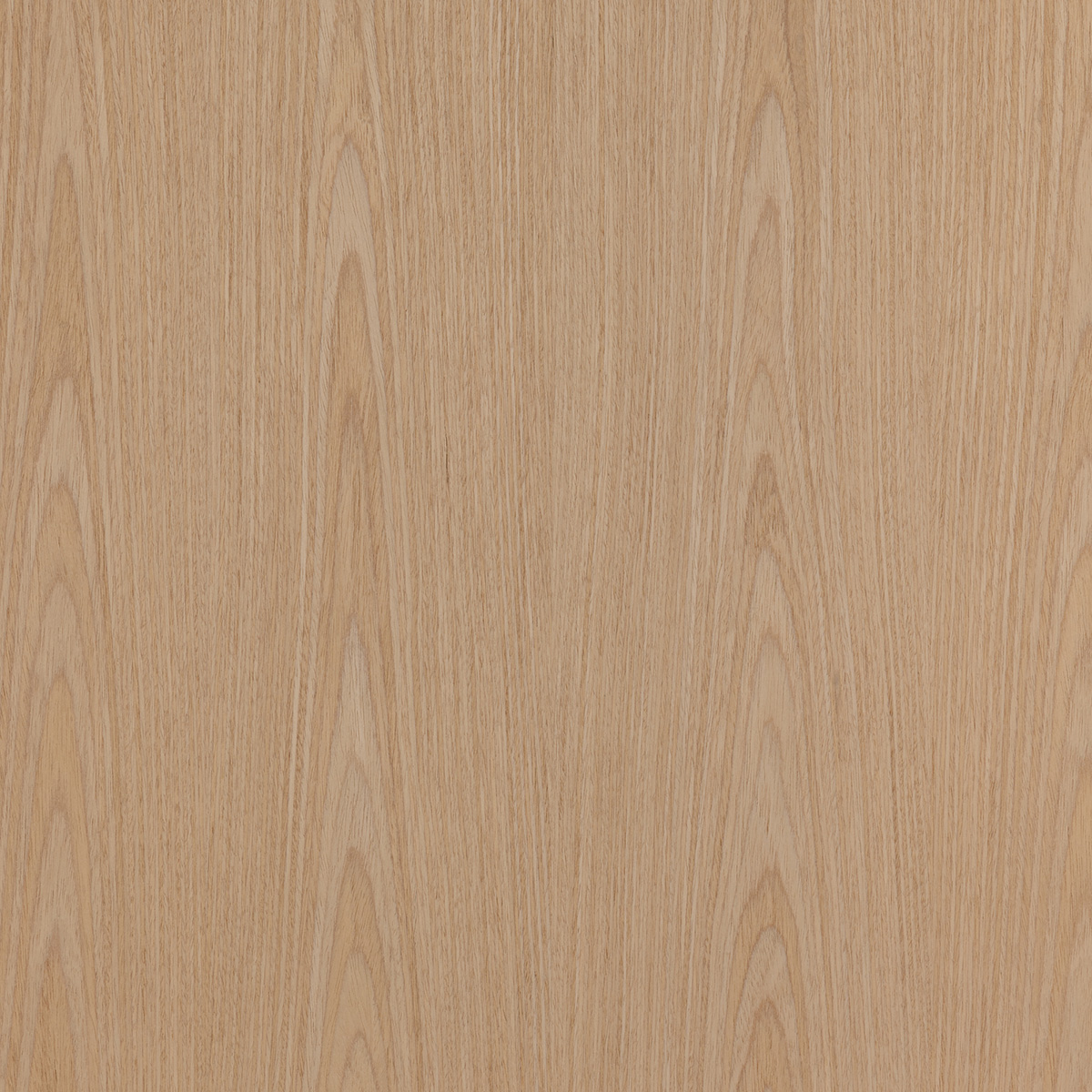 FC White Oak