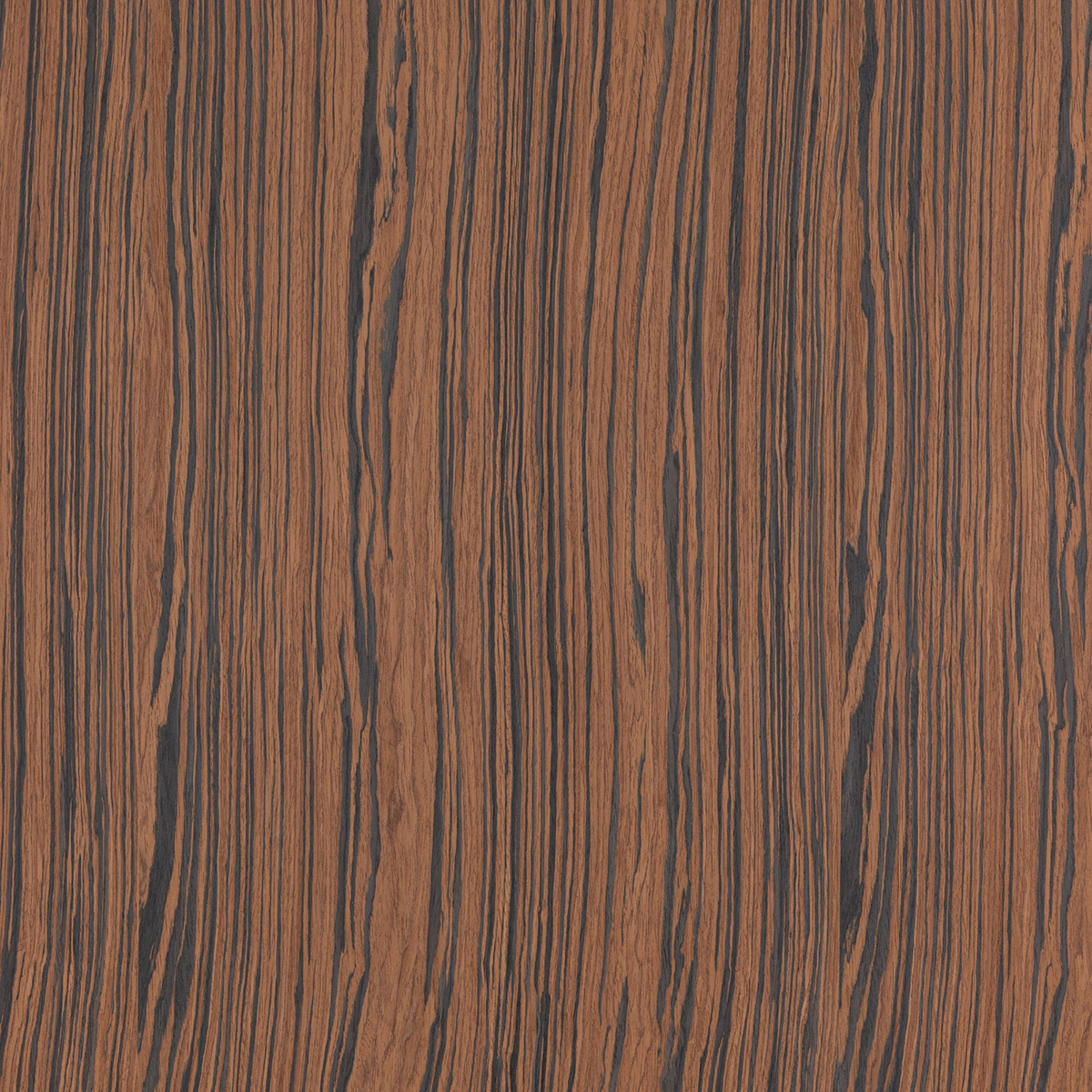 Mocha Java