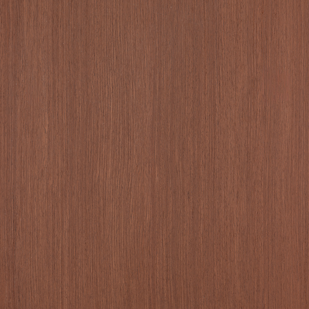 Qtr Mahogany