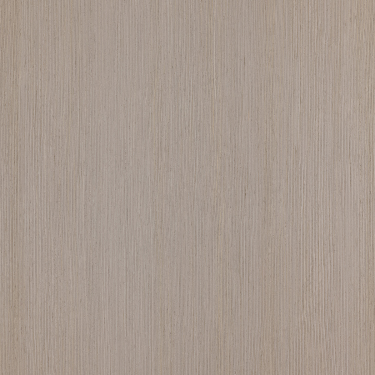 Qtr Washed Silver Oak